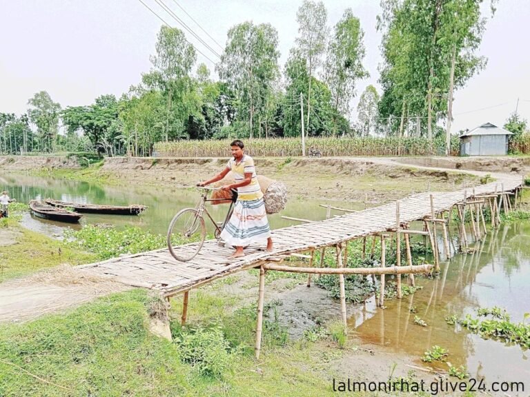 পারাপারে ভরসা নড়বড়ে সাঁকো