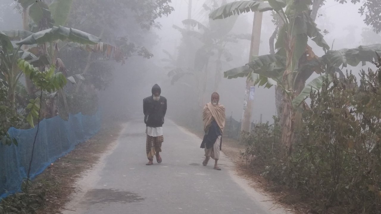 হিমেল হাওয়া ও ঘন কুয়াশা